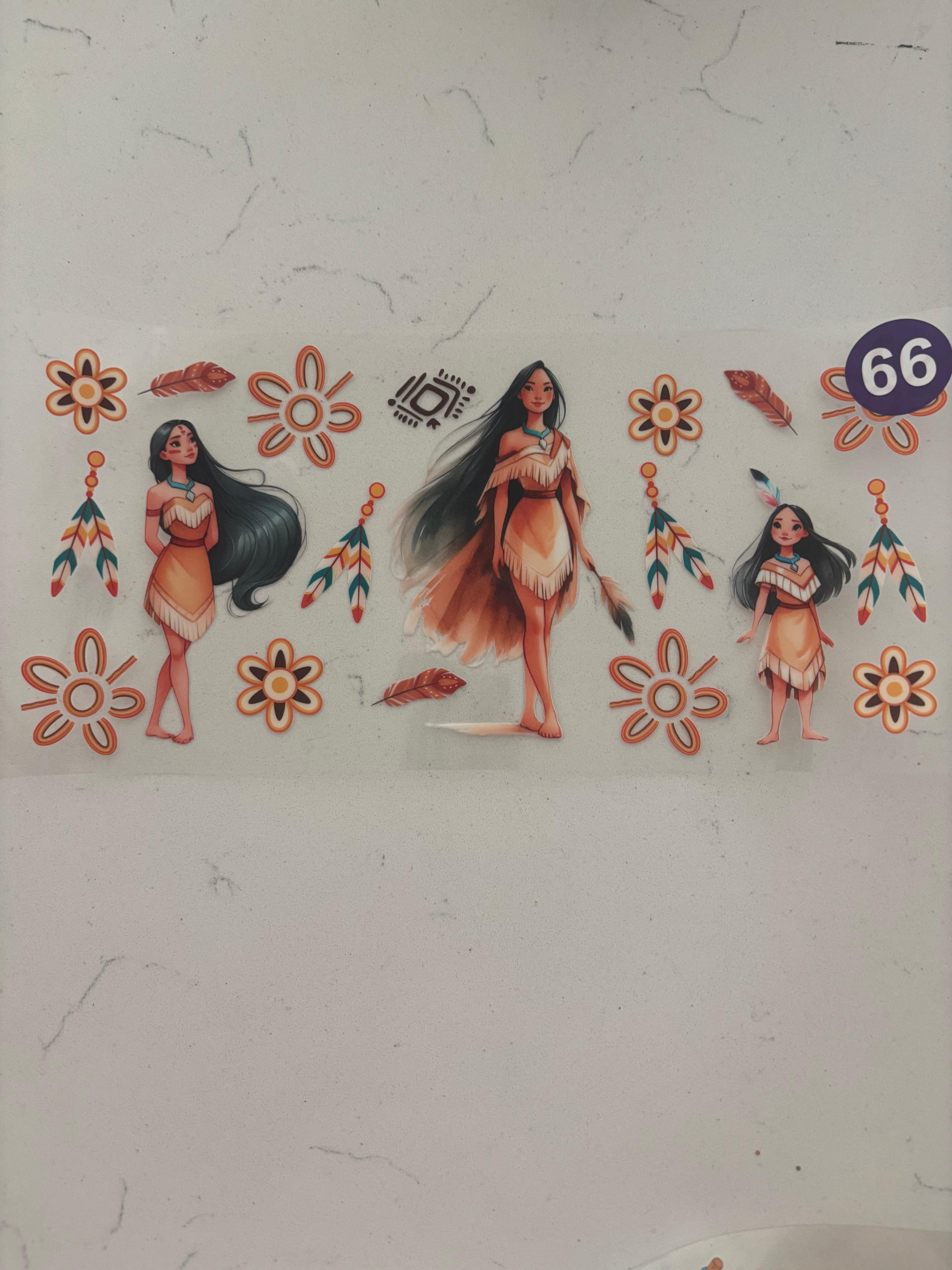 Decal 66