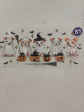 Decal 81