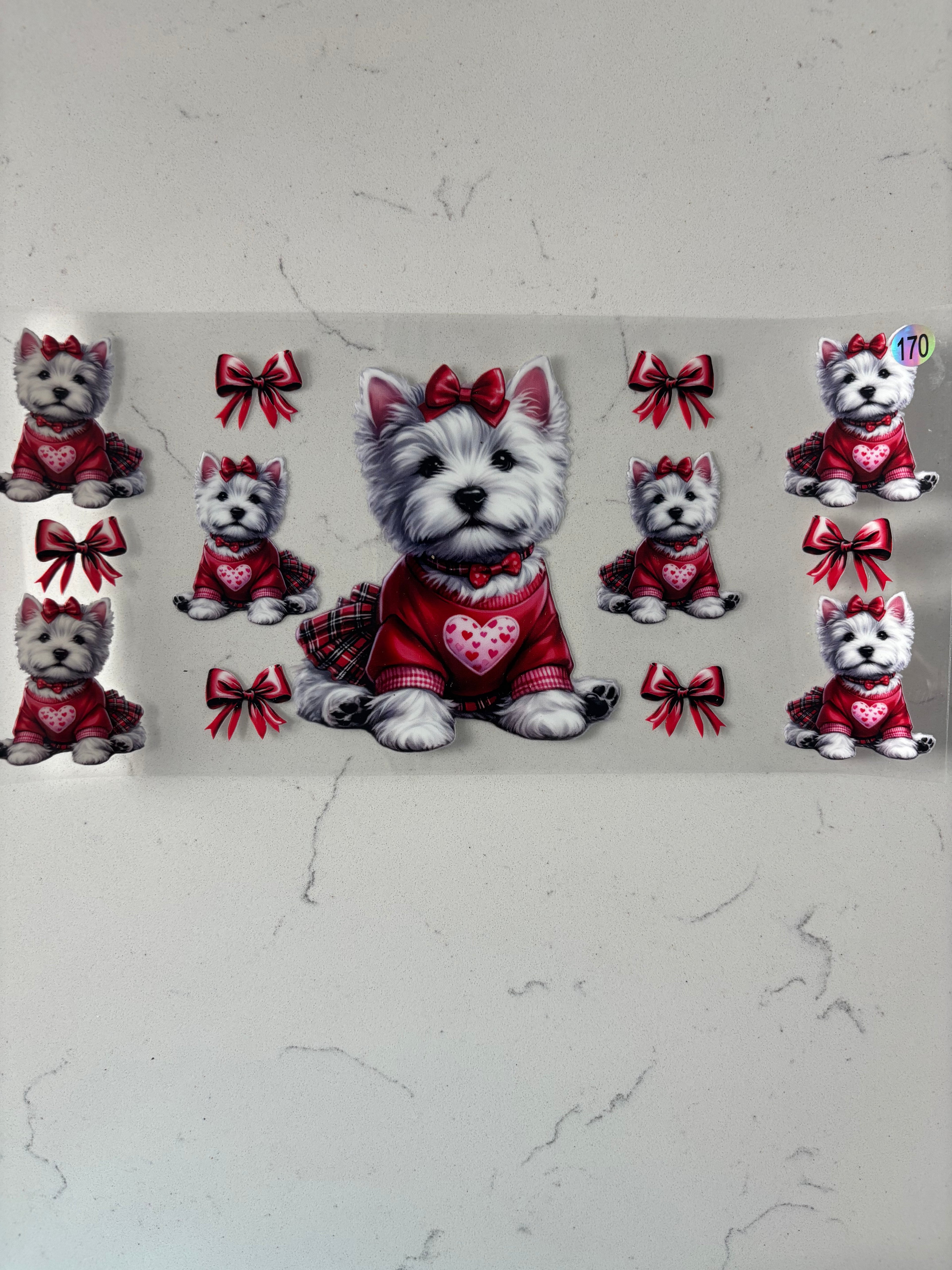 Decal 170