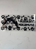 Decal 176